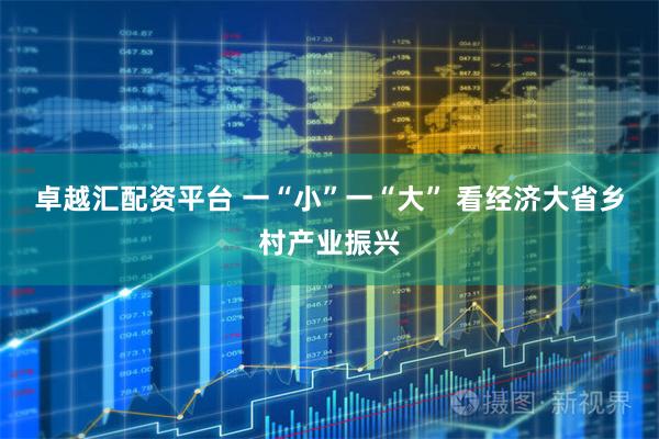 卓越汇配资平台 一“小”一“大” 看经济大省乡村产业振兴